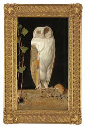 De witte uil, 1856