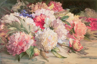 Pioenen, 1892