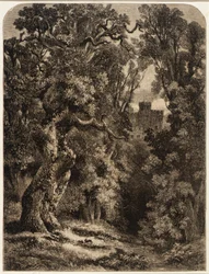 Landschap