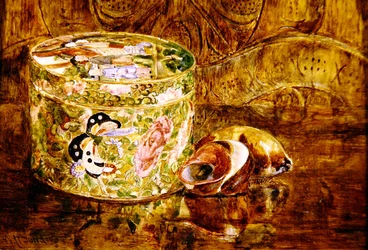 Studie van China en schelpen