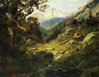 Landschap met Mount Shasta