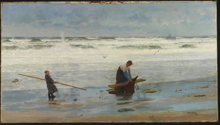 Verzamelen van Drijfhout, Holland, 1877