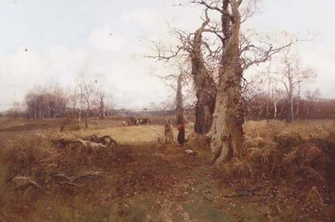 Herfstlandschap