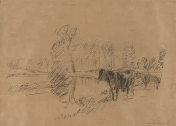 Vee in een Landschap