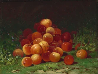Berg kersen, n.d. (olieverf op hout)