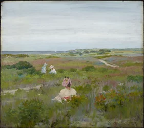 Landschap: Shinnecock, Long Island
