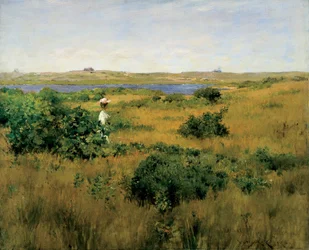 Zomer in Shinnecock Hills