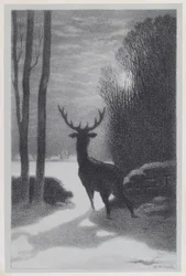 Hert in het maanlicht