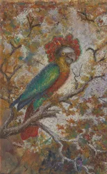 Papegaai, 1909