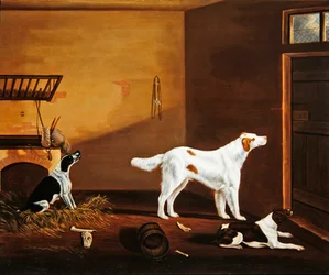 Drie honden in een stal