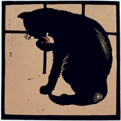 De Ongewone Kat, uit 