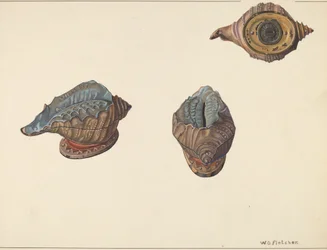 Schelpenbank, ca. 1938