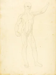 (Een Ecorche, vooraanzicht)