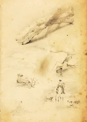 (Studies - figuren, boomstammen, paard en ruiter, etc.)