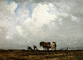 Verzamelen van Zeewier