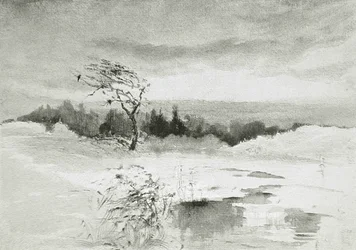 Landschap met Water en Door de Wind Gebogen Boom