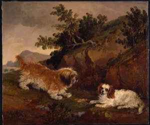 Landschap met spaniel en terriër