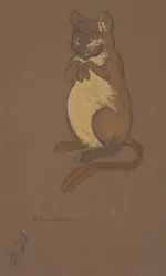 Kostuumontwerp voor de slaapmuis voor Alice in Wonderland