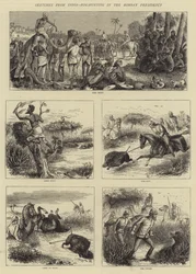 Schetsen uit India, Varkensjacht in het Bombay Voorzitterschap