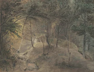 Het uitzicht vanaf het Springhouse bij Echo, ca. 1808