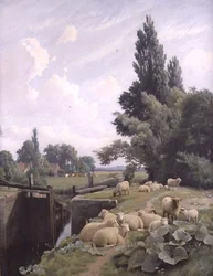 Landschap met een Kanaalsluis en een Kudde Schapen