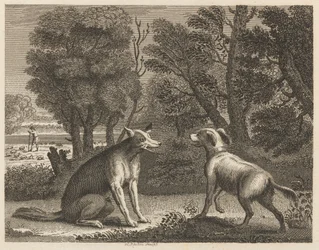 De herdershond en de wolf