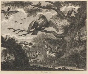 De gier, de mus en andere vogels