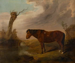 Een Bruine Pony bij een Rivier, c.1823