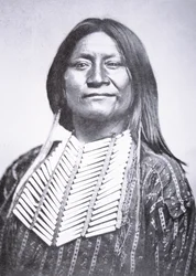 Comanche Stamlid