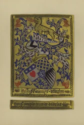 Sir James Douglas, graaf van Douglas en Avondale, 1461-1488 (chromolitho)