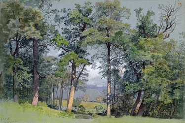 Coppet, Meer van Genève
