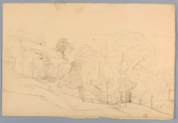 Studie van landschap