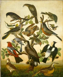 Vogels, ca. 1840 (olieverf op doek)