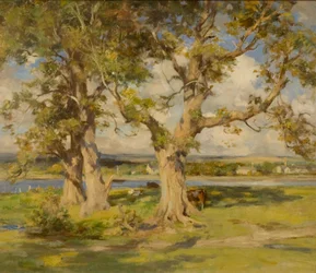 Drie Bomen bij een Rivier