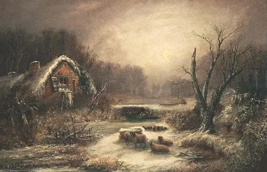 Een bosrijk winterlandschap