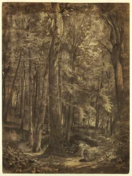 Tekening, In the Woods, studie voor schilderij, June Woods, New York Historical Society, uitgeleend door de New York Public Library, 1864