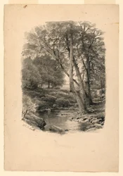 Tekening, Zwembad in het bos, 1874