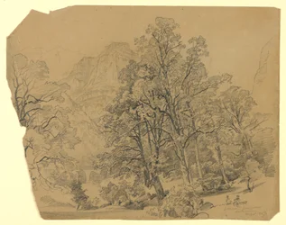 Landschap, Silberhorn, Lauterbrunnen, Zwitserland