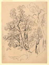 Studie van gebladerte, Trachselwald, Bern, Zwitserland