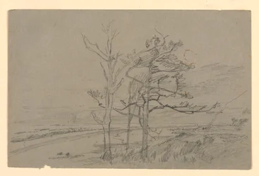 Studie van landschap