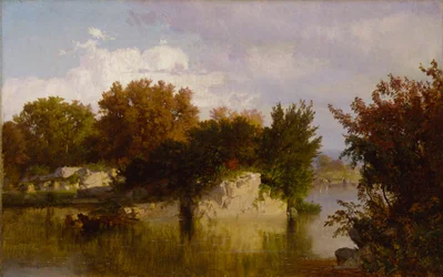 Bomen langs beek in herfst
