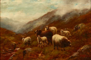 Hooglandschapen op een helling