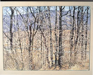 Kittatiny Bergen, Ochtend