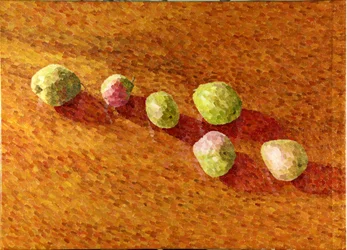 Stilleven, zwarte Worcesters, 2013