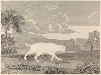 [Schieten] De Spaanse wijzer