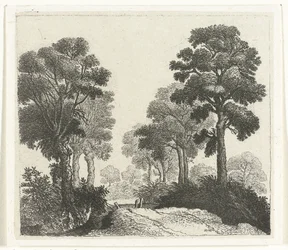 Landschap met bomen langs een pad