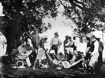 Het Villen van de Tijger, c.1870s