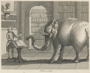 De olifant en de boekverkoper