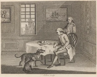 De man, de kat, de hond en de vlieg