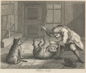 De rattenvanger en katten